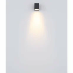 Luminaires Globo Lighting Applique murale d'extérieur Globo VERONIKA Anthracite, 1 lumière