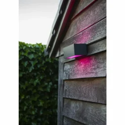 Luminaires Lutec Applique murale d'extérieur Lutec GEMINI LED Anthracite, 2 lumières, Changeur de couleurs