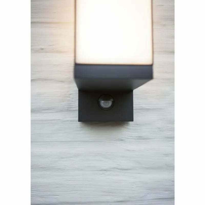 Luminaires Lutec Applique murale d'extérieur Lutec CUBA LED Anthracite, 1 lumière, Détecteur de mouvement