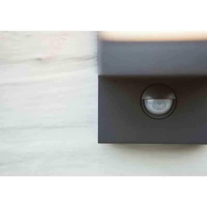 Luminaires Lutec Applique murale d'extérieur Lutec CUBA LED Anthracite, 1 lumière, Détecteur de mouvement