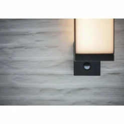 Luminaires Lutec Applique murale d'extérieur Lutec CUBA LED Anthracite, 1 lumière, Détecteur de mouvement