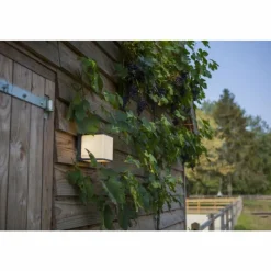 Luminaires Lutec Applique murale d'extérieur Lutec Doblo LED Anthracite, 1 lumière