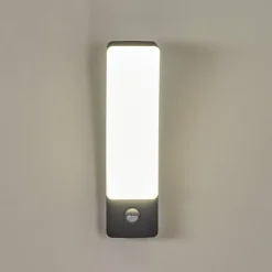 hofstein Applique murale d'extérieur Maseru LED Anthracite, 1 lumière, Détecteur de mouvement