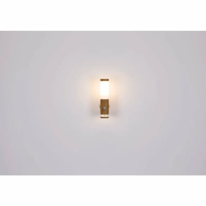 Lampes En Bois-Luminaires Globo Lighting Applique murale d'extérieur Globo JAICY Bois foncé, 1 lumière, Détecteur de mouvement