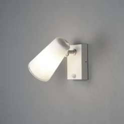 Luminaires Konstsmide Applique murale d'extérieur Konstsmide Fano Gris, 1 lumière, Détecteur de mouvement