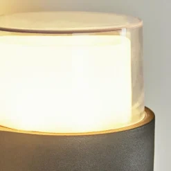 hofstein Applique murale d'extérieur Cesta LED Noir, 2 lumières