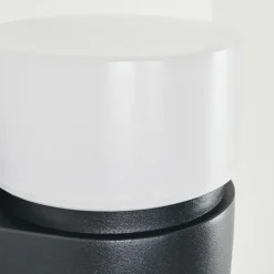 hofstein Applique murale d'extérieur Tiarp LED Noir, 2 lumières, Détecteur de mouvement