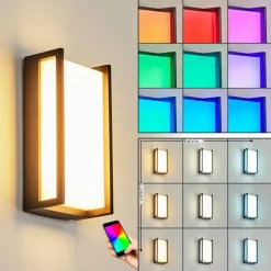 hofstein Applique murale d'extérieur Skove LED Anthracite, 1 lumière, Changeur de couleurs