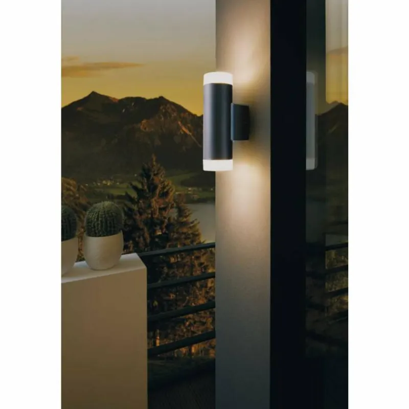 Luminaires Eglo Applique murale d'extérieur Eglo RIGA-LED Noir, 2 lumières