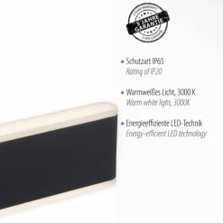 Luminaires Paul Neuhaus Applique murale d'extérieur Paul-Neuhaus ELSA LED Anthracite, 2 lumières