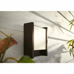 Luminaires Philips Applique murale d'extérieur Philips Hue White Fuzo LED Noir, 1 lumière