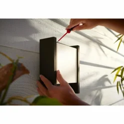 Luminaires Philips Applique murale d'extérieur Philips Hue White Fuzo LED Noir, 1 lumière