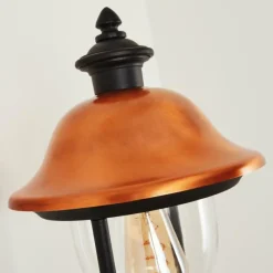 Luminaires Rustiques-hofstein Applique murale d'extérieur Gascon Noir, 1 lumière