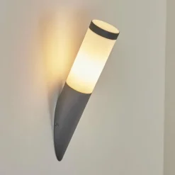 hofstein Applique murale d'extérieur Sessa Anthracite, 1 lumière