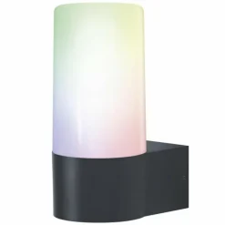 Luminaires Ledvance Applique murale d'extérieur LEDVANCE Smart+ Gris, 1 lumière