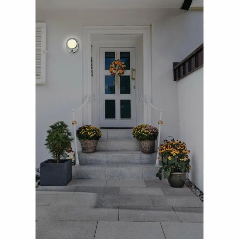 Luminaires Ledvance Applique murale d'extérieur LEDVANCE ENDURA Acier brossé, 1 lumière, Détecteur de mouvement