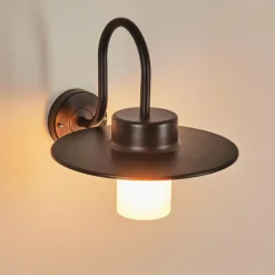 hofstein Applique murale d'extérieur Gstaad, 1 lumière