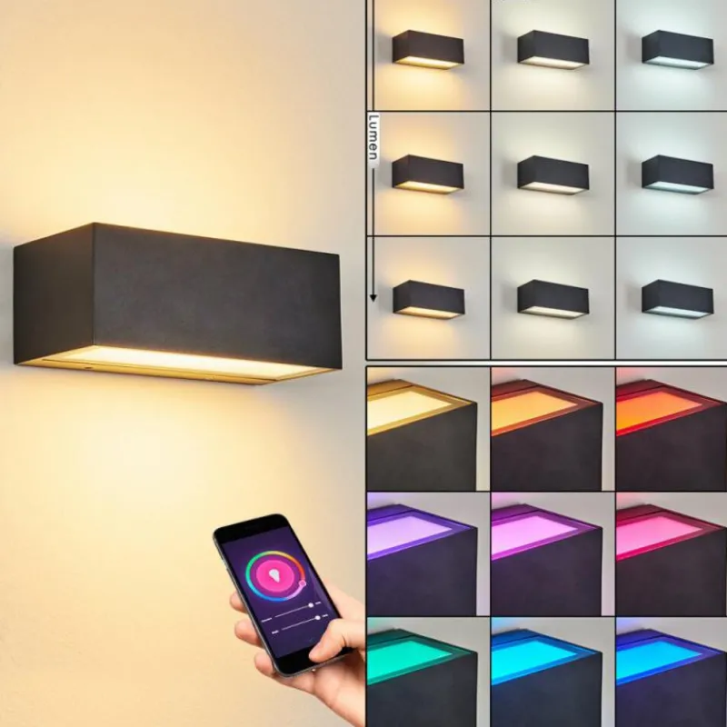 hofstein Applique murale d'extérieur Spidern LED Anthracite, 1 lumière, Changeur de couleurs