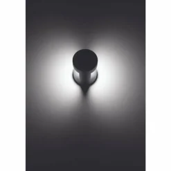 Luminaires LCD Applique murale d'extérieur LCD Tannfeld LED Noir, 2 lumières