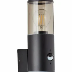 Luminaires Brilliant Applique murale d'extérieur Brilliant Sergioro Anthracite, 1 lumière, Détecteur de mouvement