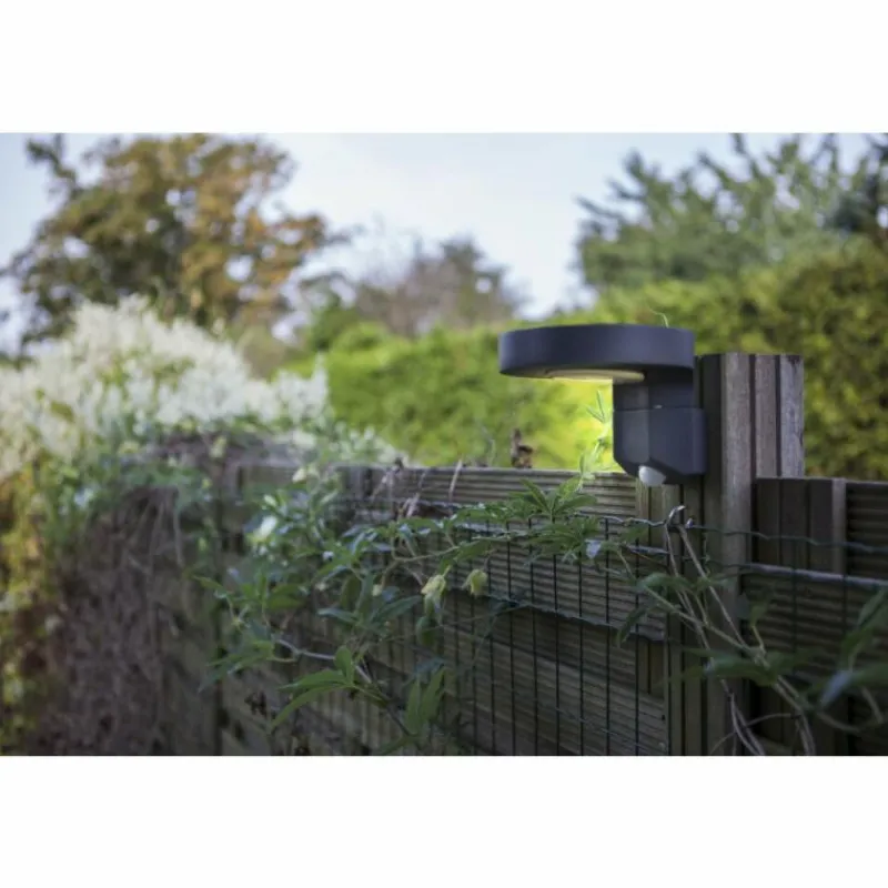 Luminaires Lutec Applique murale d'extérieur Lutec DISO LED Anthracite, 1 lumière, Détecteur de mouvement