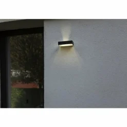 Luminaires Lutec Applique murale d'extérieur Lutec FADI LED Noir, 1 lumière, Détecteur de mouvement