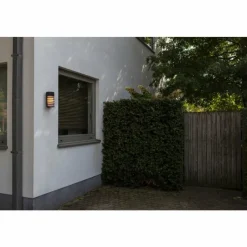 Luminaires Lutec Applique murale d'extérieur Lutec FULTON Noir, 1 lumière