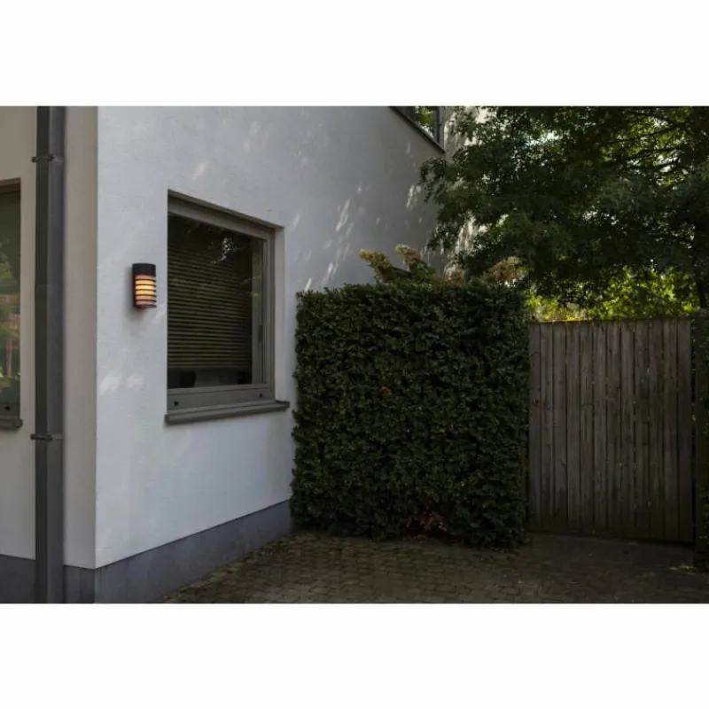 Luminaires Lutec Applique murale d'extérieur Lutec FULTON Noir, 1 lumière