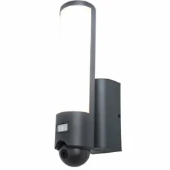 Luminaires Lutec Applique murale d'extérieur Lutec ELARA LED Anthracite, 1 lumière, Détecteur de mouvement