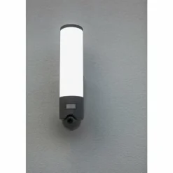 Luminaires Lutec Applique murale d'extérieur Lutec ELARA LED Anthracite, 1 lumière, Détecteur de mouvement