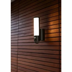 Luminaires Lutec Applique murale d'extérieur Lutec ELARA LED Anthracite, 1 lumière, Détecteur de mouvement