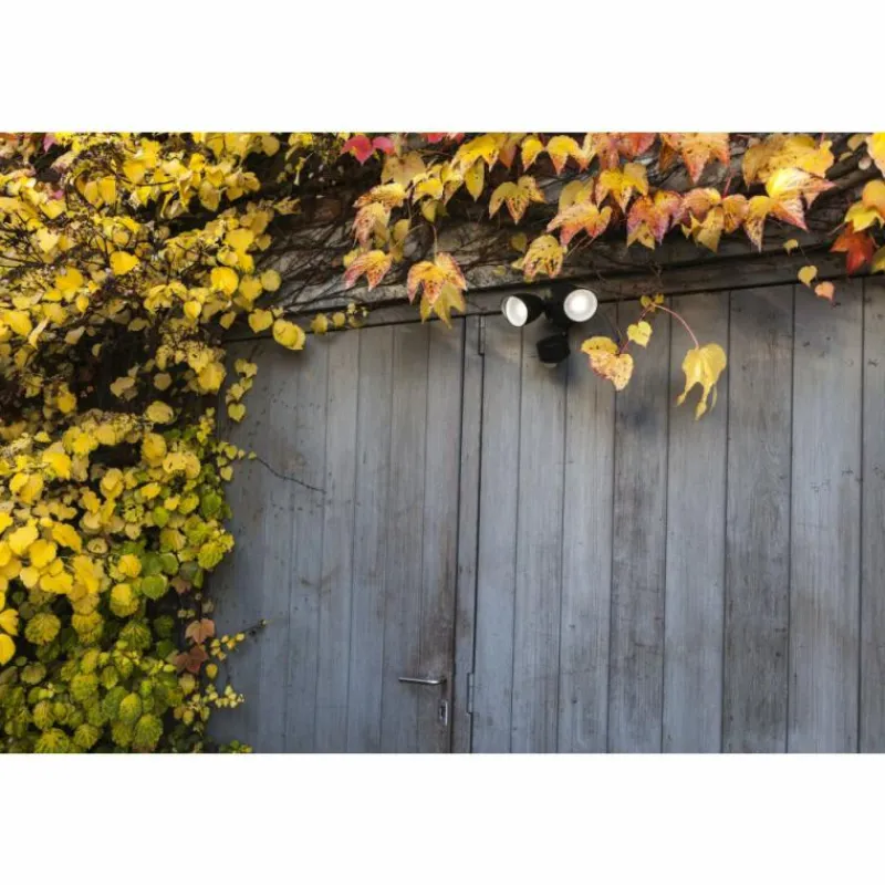 Luminaires Lutec Applique murale d'extérieur Lutec DRACO LED Noir, 1 lumière, Détecteur de mouvement