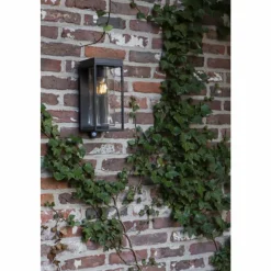 Luminaires Lutec Applique murale d'extérieur Lutec FLAIR Noir, 1 lumière, Détecteur de mouvement