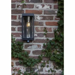 Luminaires Lutec Applique murale d'extérieur Lutec FLAIR Noir, 1 lumière, Détecteur de mouvement