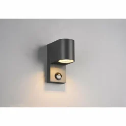 Luminaires Trio Applique murale d'extérieur Trio Roya Anthracite, 1 lumière, Détecteur de mouvement
