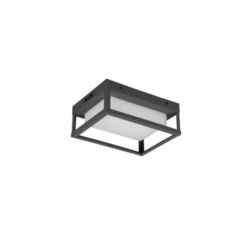 Luminaires Trio Applique murale d'extérieur Trio Witham LED Anthracite, 1 lumière