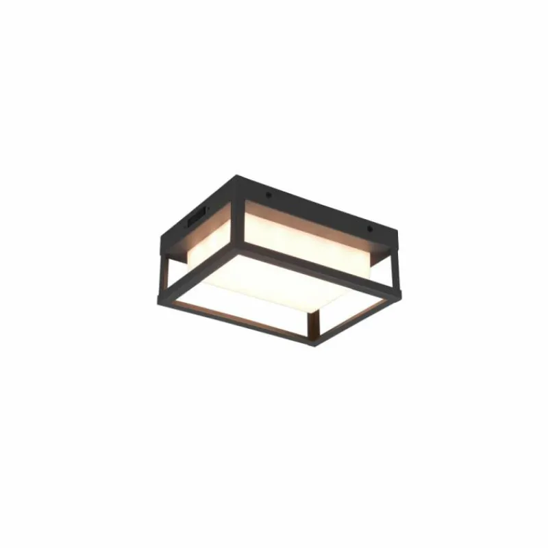 Luminaires Trio Applique murale d'extérieur Trio Witham LED Anthracite, 1 lumière