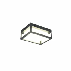 Luminaires Trio Applique murale d'extérieur Trio Witham LED Anthracite, 1 lumière