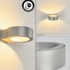 hofstein Applique murale d'extérieur Azervadinha LED Argenté, 1 lumière