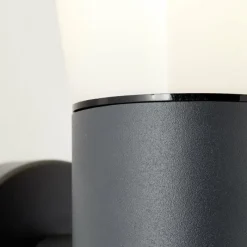 Luminaires Brilliant Applique murale d'extérieur Brilliant Cliffi Anthracite, 1 lumière, Détecteur de mouvement