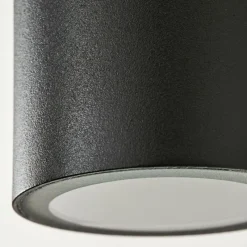 hofstein Applique murale d'extérieur Bessiebelle Noir, Transparent, 2 lumières