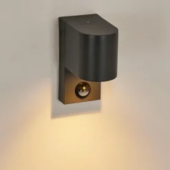 hofstein Applique murale d'extérieur Kingstown Anthracite, Transparent, 1 lumière, Détecteur de mouvement