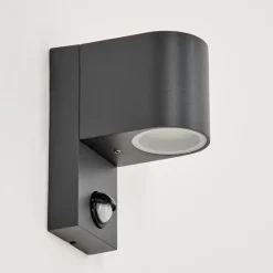 hofstein Applique murale d'extérieur Kingstown Anthracite, Transparent, 1 lumière, Détecteur de mouvement