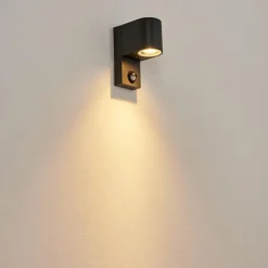 hofstein Applique murale d'extérieur Kingstown Anthracite, Transparent, 1 lumière, Détecteur de mouvement