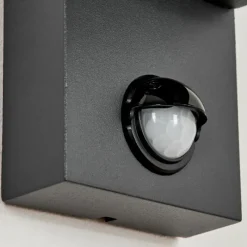 hofstein Applique murale d'extérieur Kingstown Anthracite, Transparent, 2 lumières, Détecteur de mouvement