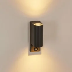 hofstein Applique murale d'extérieur Kingstown Anthracite, Transparent, 2 lumières, Détecteur de mouvement