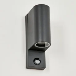 hofstein Applique murale d'extérieur Kingstown Anthracite, Transparent, 2 lumières, Détecteur de mouvement