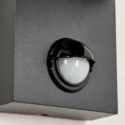 hofstein Applique murale d'extérieur Kingstown Anthracite, Transparent, 2 lumières, Détecteur de mouvement