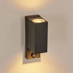 hofstein Applique murale d'extérieur Kingstown Anthracite, Transparent, 2 lumières, Détecteur de mouvement