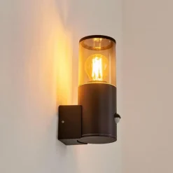 Suspension Verre Fumé-hofstein Applique murale d'extérieur Caragua Anthracite, 1 lumière, Détecteur de mouvement